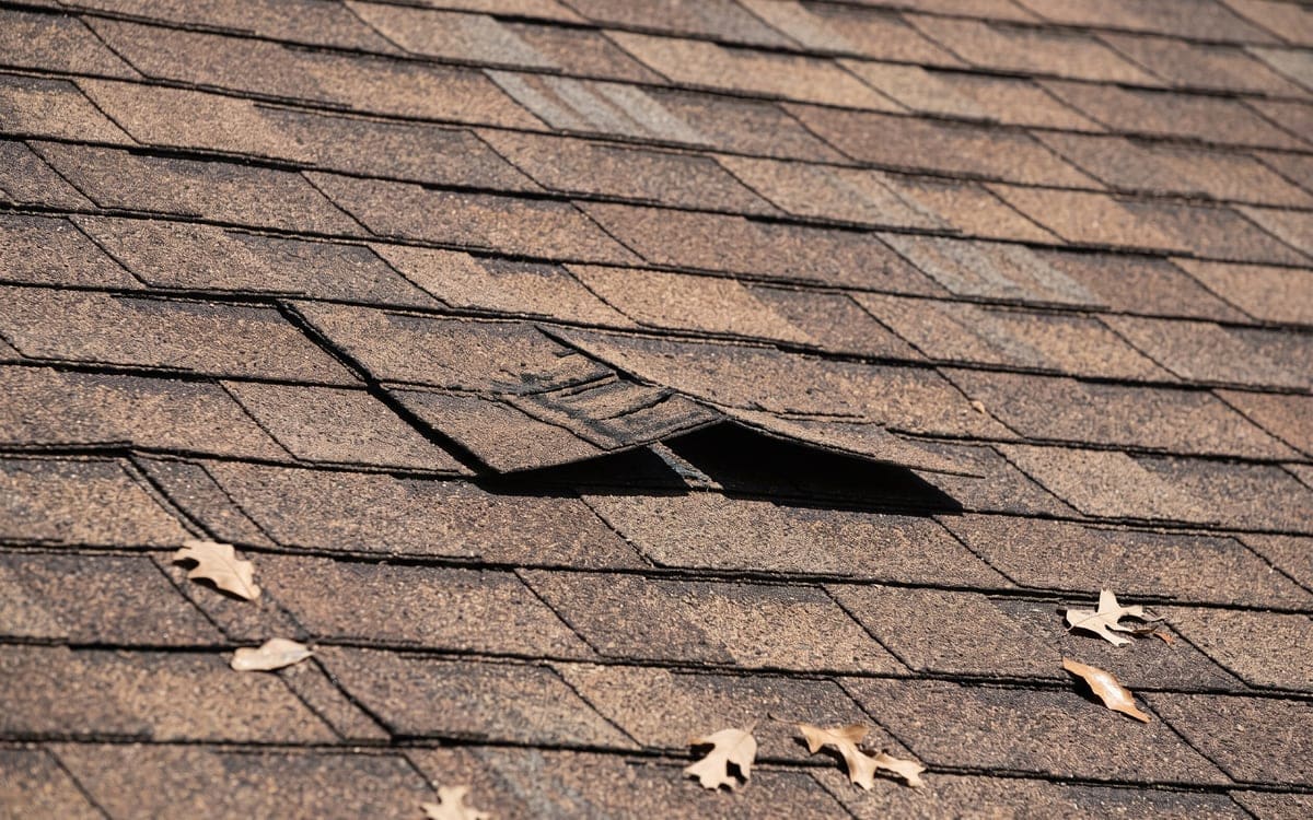 Close view of two creased, lifted shingle tabs on a brown architectural shingle roof, the shingles around them intact.